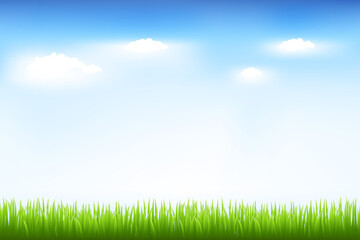 Fototapeta na wymiar Green Grass And Blue Sky, Vector Illustration