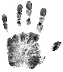 Vector Illustration of a Full Handprint