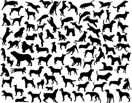 Collection of vector silhouettes of various dog breeds and poses