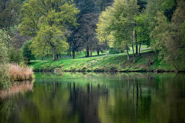 View of a lakeside on a quiet morning with reflections.