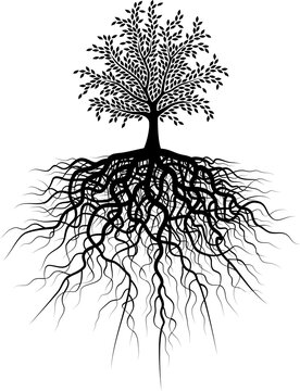 Editable vector illustration of a tree and its roots