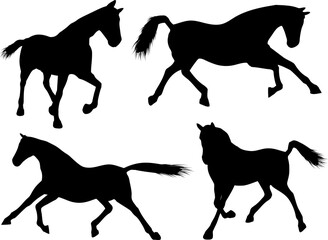 Fototapeta na wymiar Various horse silhouettes
