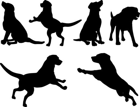 Various dog silhouettes