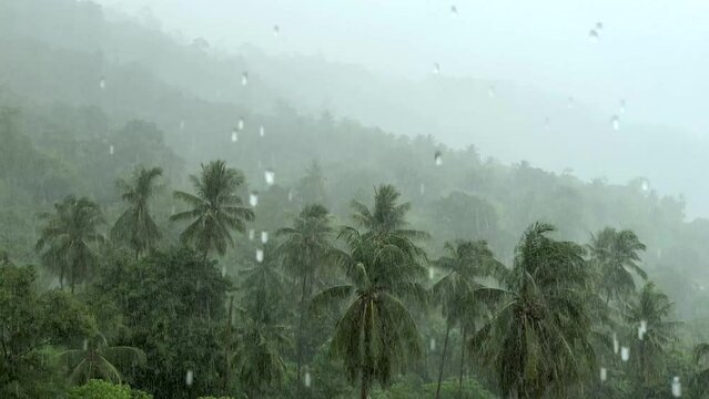 Rainstorm in Amazonian Rainforest, Brazil