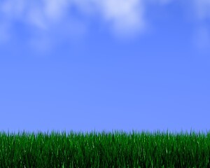 Fototapeta na wymiar 3d grass and sky