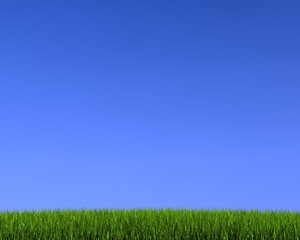 3d grass and blue sky
