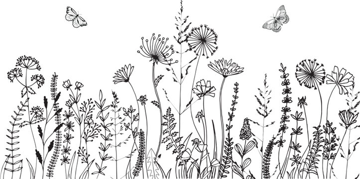 Group of Wildflowers, herbs, flowers, plants and butterflies flyng around. Outline Style Full Vector illustration.