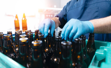 Brewery production process. Worker checks and prepares glass brown bottles in plastic box are...