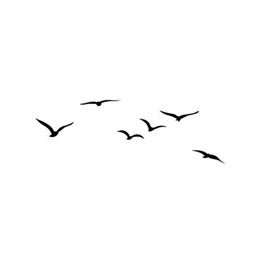 Vector silhouette of flying birds 