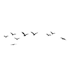 Vector silhouette of flying birds 