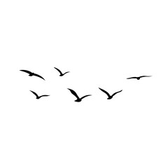 Vector silhouette of flying birds 