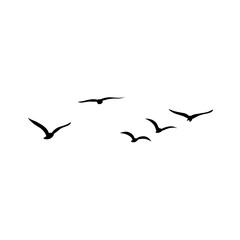 Vector silhouette of flying birds 