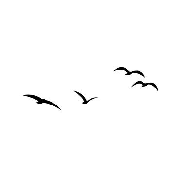 Vector silhouette of flying birds 