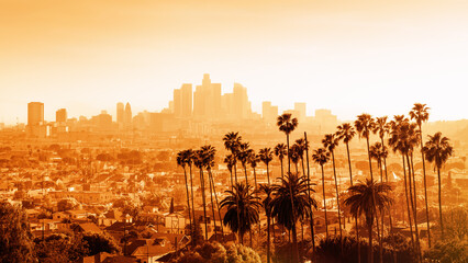 the skyline of los angeles with palm trees during sunset