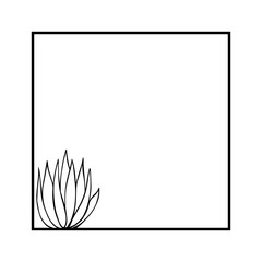 cactus square frame
