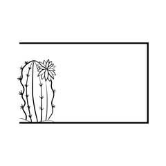 cactus rectangle frame
