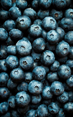 fresh blueberry background , top view, food wallpaper ,