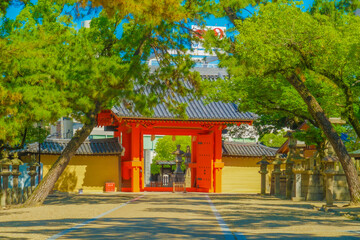 Fototapeta premium 西宮神社（兵庫県西宮市）