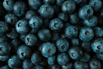 fresh blueberry background , top view, food wallpaper ,