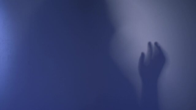Silhouette of a beautiful sexy girl performing seductive body movements. Shadows and silhouettes of hands on a white background. The shadow of the girl through the glass.
