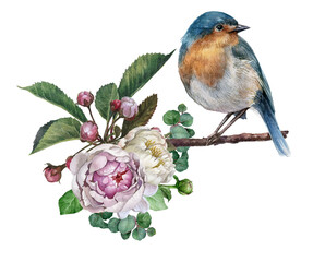 Watercolor blue bird sit on blooming spring flowers brunch  and green leaves. Watercolor hand drawn illustration with blooming apple tree. Pink cherry flower. Vintage style.