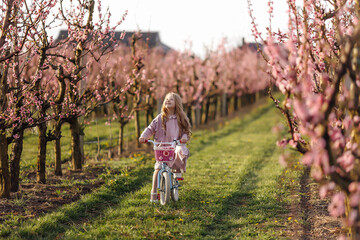 a girl rides a bicycle in a peach orchard