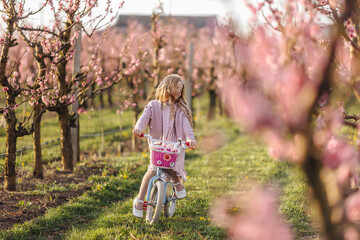 a girl rides a bicycle in a peach orchard