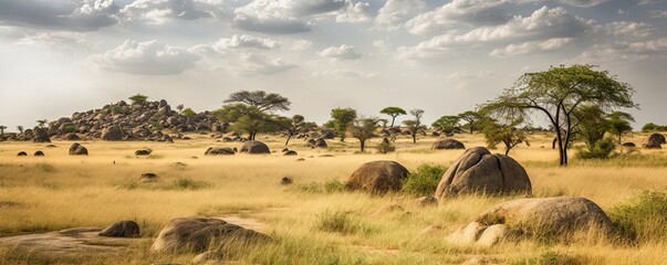Fototapeta na wymiar African savannah landscape with acacia trees and sky. Generative ai grassy savannah view