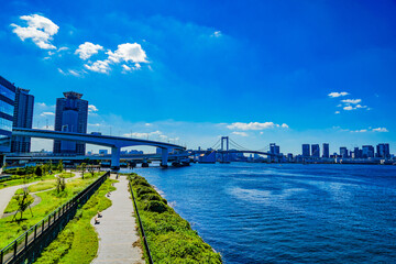 Fototapeta premium 有明北緑道公園から見える東京の街