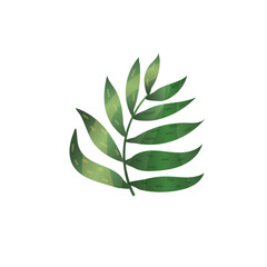 Tropical leave on white background. Leaf vector illustration