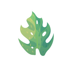 Tropical leave on white background. Leaf vector illustration