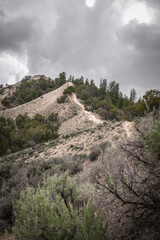 Fototapeta na wymiar Trail on ridge line of adobe hills covered in pine trees with sage brush in foreground in Eagle Colorado in spring with dramatic grey cloudy skies