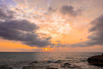 Bee flying over a pink flower that she is going to forage.
