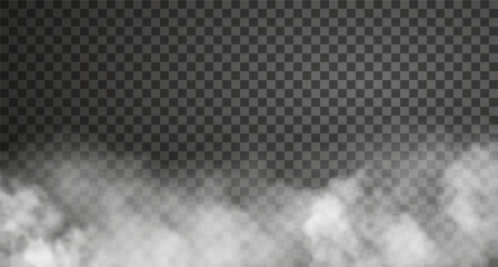 Cloudy fog isolated on transparent background. Realistic vector illustration. White haze or smoke effect 