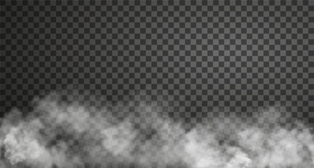 Vector illustration of white spooky steam cloud. Realistic fog effect isolated on transparent backdrop - obrazy, fototapety, plakaty