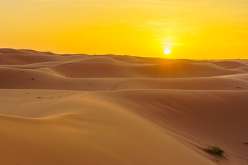 Fototapeta na wymiar Sunset over the sand dunes, in Merzouga