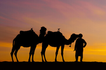 Fototapeta na wymiar Sunrise silhouette of camels and handler, Merzouga