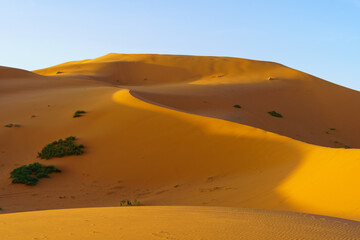 Sand dunes landscape in Merzouga
