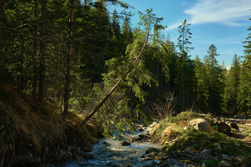 Beautiful spring panorama over river to snowy Witow, Tatra mountains, Poland