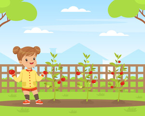 Cute Little Girl Gathering Red Tomato in the Garden Vector Illustration