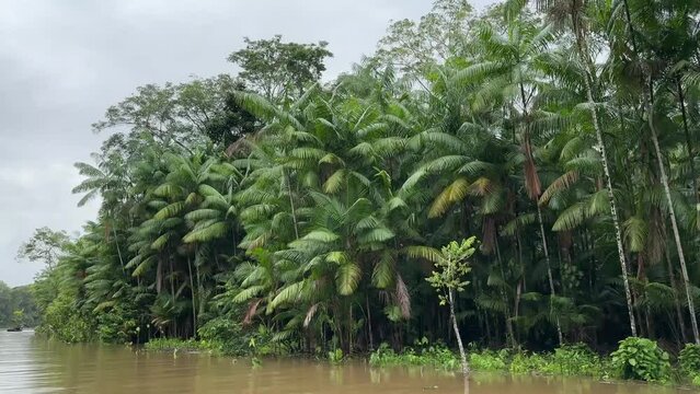 Mit dem Boot durch den Regenwald