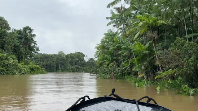 Mit dem Boot durch den Regenwald