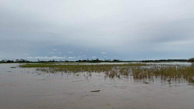 Fahrt auf dem Amazonas