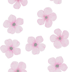 Anemone watercolor flowers seamless pattern