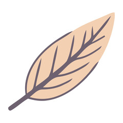 Organic leaf symbolizes season beauty