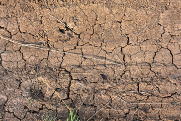 Dry mud cracked ground texture. Drought season background. Dry and cracked land, dry due to lack of rain. Effects of climate change.
