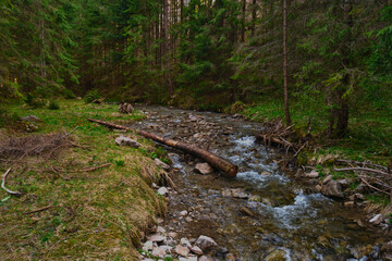 Beautiful spring panorama over river to snowy Witow, Tatra mountains, Poland