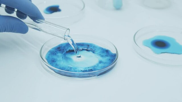 Laboratory chemical petri dish with blue liquid. Agar or agarose gel containing whatever nutrients the organism requires. Microbiology.  Development of vaccine and pharmaceuticals.