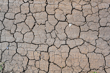 Dry mud cracked ground texture. Drought season background. Dry and cracked land, dry due to lack of rain. Effects of climate change.