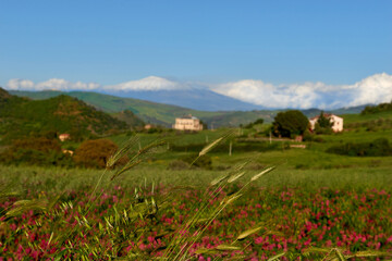 a manor house on the green meadows in the valleys of Sicily with the snow-capped Etna volcano as a background